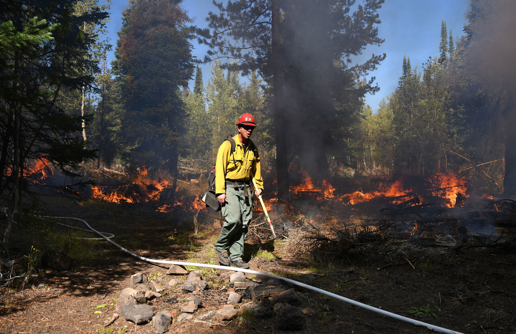 Prescribed burn